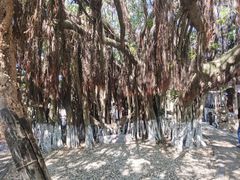 -胡里山炮台
