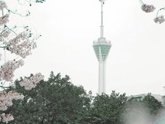 -成都市活水公园