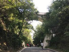 -北山公园