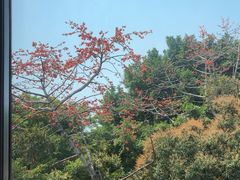 -点都德(广州白云山景区南门店)