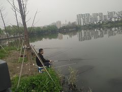 -九里河湿地公园