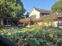-上海醉白池公园