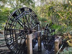 -大屏嶂森林公园