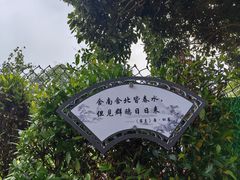 -黄埔油麻山森林公园