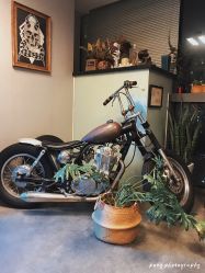 -極致刺青TATTOO STUDIO 私人订制