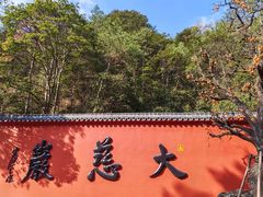 -大慈岩风景区