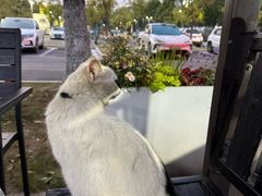 -昆承湖酒家·本帮农家菜
