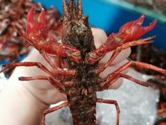 -谊品生鲜折扣店(伟清中环店)