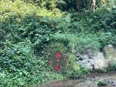-青城山