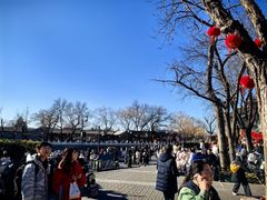 -东兴顺爆肚张