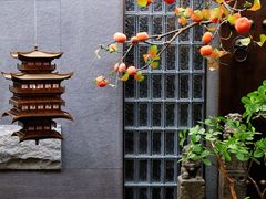-四世同堂·京菜·烤鸭(双井店)