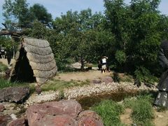 -武清南湖绿博园