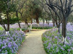 -泰州凤城河风景区-泰山公园