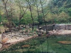 -白云源风景区