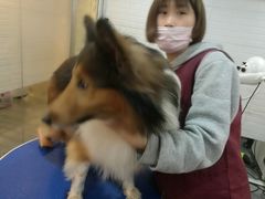 -PETKIT小佩宠物(古北店)