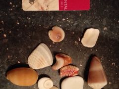 -日落吧·海景咖啡厅·餐酒吧·鸡尾酒·下午茶·乐队表演·浪漫夕阳·三亚文华东方酒店