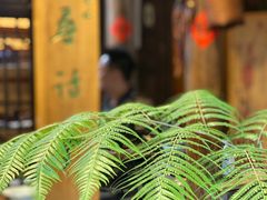 -普洱茶府(博乐广场店)