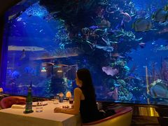 -迪拜帆船酒店海底餐厅