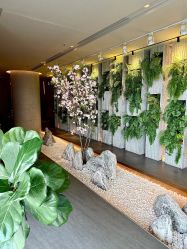 -VELEE·SPA高定疗愈会所