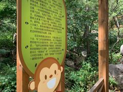 -大岭沟猕猴桃谷风景区