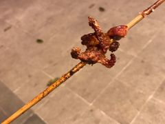 -新疆民族团结羊肉串(锦江区店)