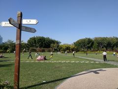 景点-白鹭洲公园