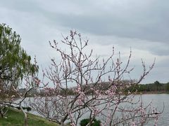 -燕郊植物园
