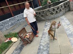 -南津关古镇