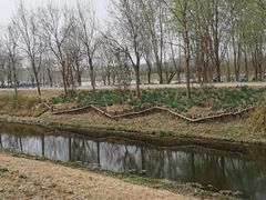 -东郊湿地公园