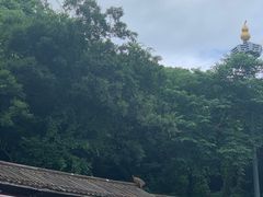 -句容茅山景区