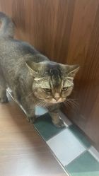 -优刻西服西装定制(金轮国际广场店)