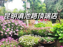 -乡村小榭饭店