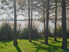 -东湖落雁景区