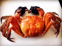 -新光酒家·河豚·海鲜·蟹料理(浦东店)