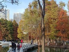 -白塘生态植物园