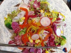 有机蔬菜沙拉-昱匠·日本料理(金融街店)