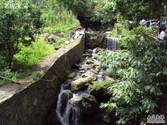 -藏龙百瀑风景区