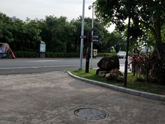 -大亚湾红树林城市湿地公园