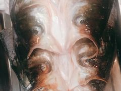 -畲乡一品鱼府土菜馆