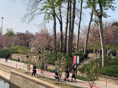 -海棠花溪(元大都城垣遗址公园)