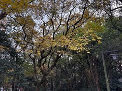 -杭州半山国家森林公园