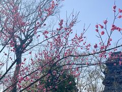 -广富林郊野公园