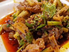 拌剔骨肉-朱大嘴肥肠血旺(福字街店)