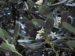 -狼山风景名胜区