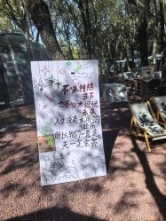 -吨儿熊自然探险乐园·儿童AR自然探索·家庭户外运动(奥林匹克森林公园店)