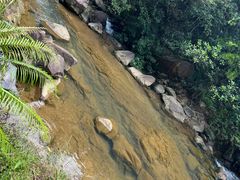 -广州白江湖森林公园