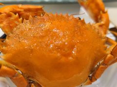 花蟹-大东海海鲜酒楼(渔人码头总店)