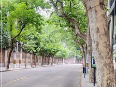 -叶叶菩提·晋福宫