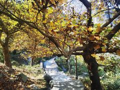 -秦岭终南山世界地质公园翠华山景区