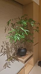-Dr.林醫生产后修复·超级店(南京江宁同曦店)